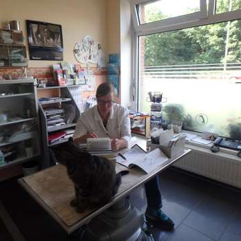 Vorschau von Dr.med.vet. Veronika Madeiczyk Kleintierpraxis