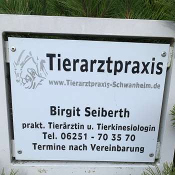 Vorschau von Birgit Seiberth