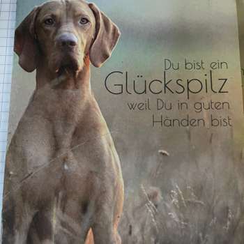 Vorschau von Tierarztpraxis Dr.Katja Tischer