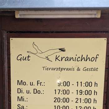 Vorschau von Dr. Heike Großklaus Tierarztpraxis
