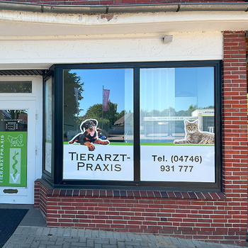 Vorschau von Tierarztpraxis Fritze