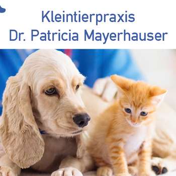 Vorschau von Dr. P. Mayerhauser, Kleintierpraxis im Gewerbehof Unterfeldweg