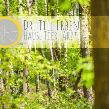 Vorschau von Tierärztliche Praxis Dr. Till Erben (keine Notfallpraxis)