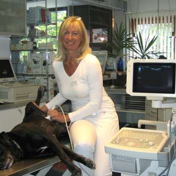 Vorschau von Tierklinik Dr Sylvia u Dr Rudolf Tschabrun