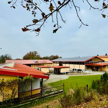 Vorschau von Pferdeklinik Dallgow Altano