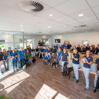 Vorschau von Kleintierzentrum Greven - Tierärzte IVC Evidensia GmbH