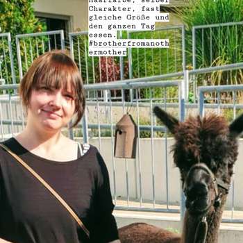 Vorschau von Tiergestützte Therapie Alpaka