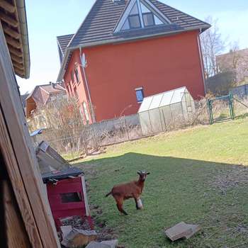 Vorschau von Tierärztliche Gemeinschaftspraxis Rost Rudolf & Zeis Peter