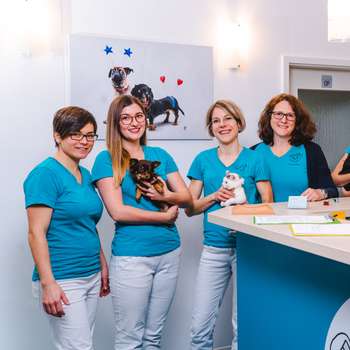 Vorschau von Fachtierarztpraxis Passau Dr. Petra Krause
