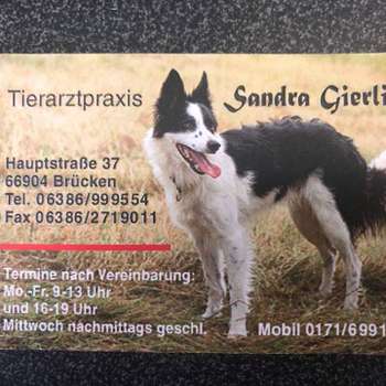 Vorschau von Sandra Gierling Tierärztin