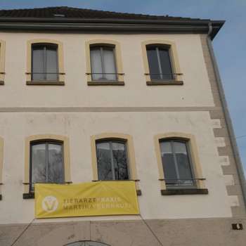 Preview of Tierarztpraxis Martina Bernauer