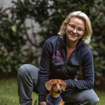 Vorschau von Brendogs mobile Tierphysio