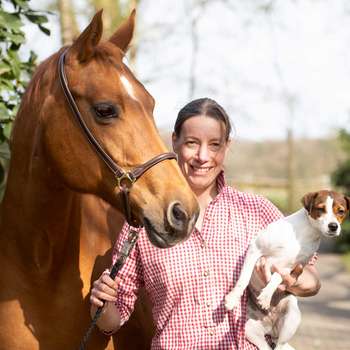 Vorschau von Chiropraxis für Pferde und Hunde Dr. Saskia Walther