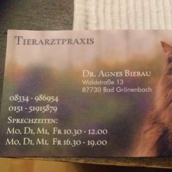 Vorschau von Dr. Biebau Agnes