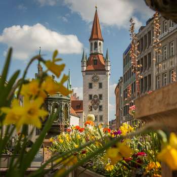 München