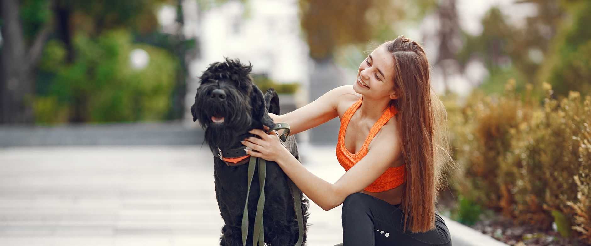 Junge Frau, die während eines Spaziergangs in einem sonnigen Stadtpark mit ihrem glücklichen Hund verbindet.