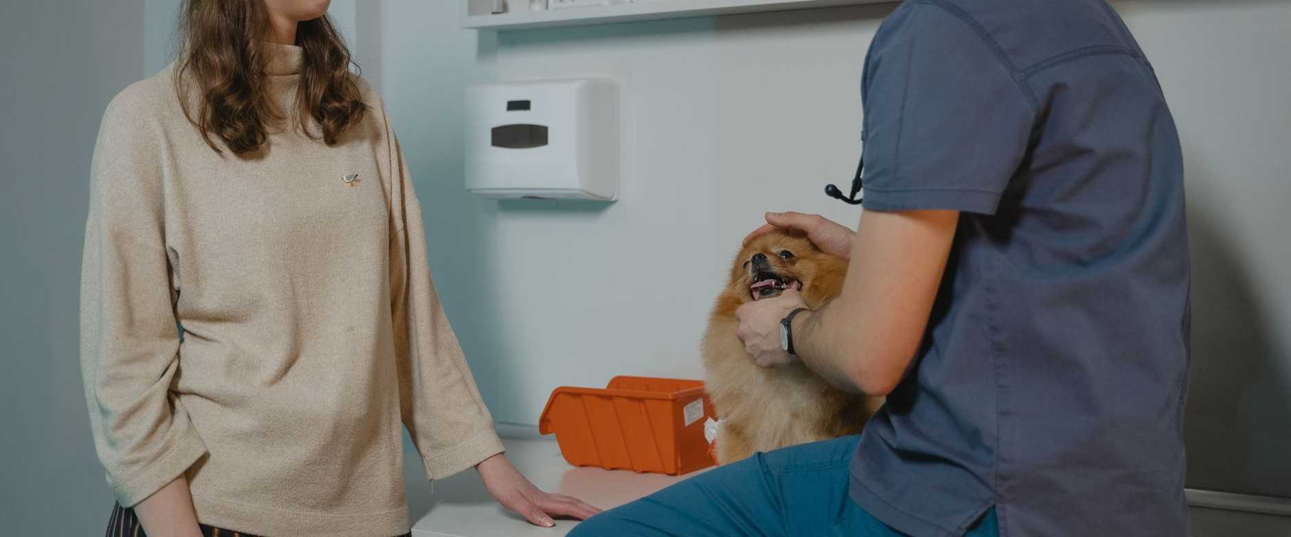 Tierärztin berät Hundebesitzerin in der Praxis und hält dabei einen Zwergspitz im Arm.