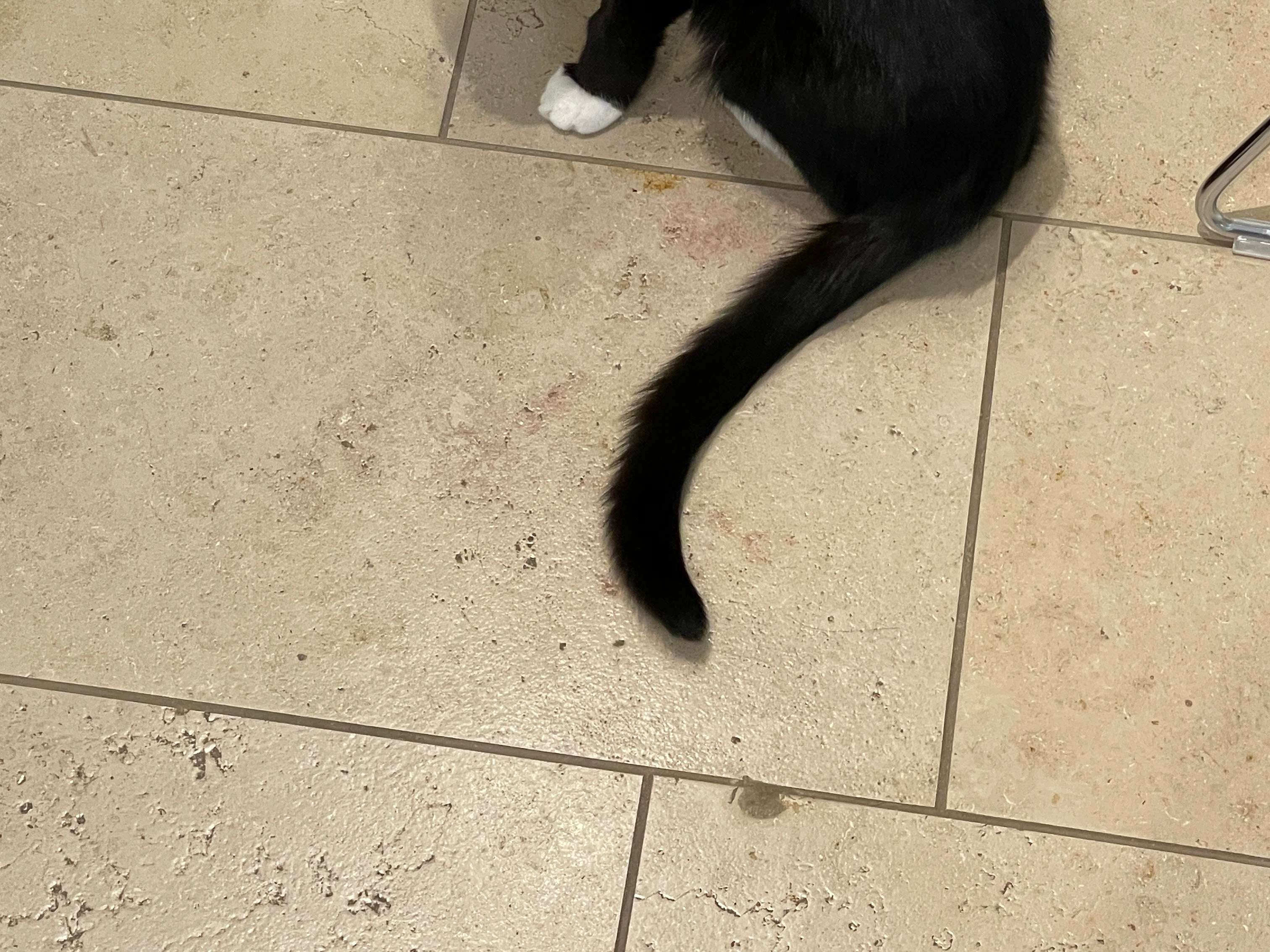 Ansicht 5 von Tierklinik Dr. Schneichel