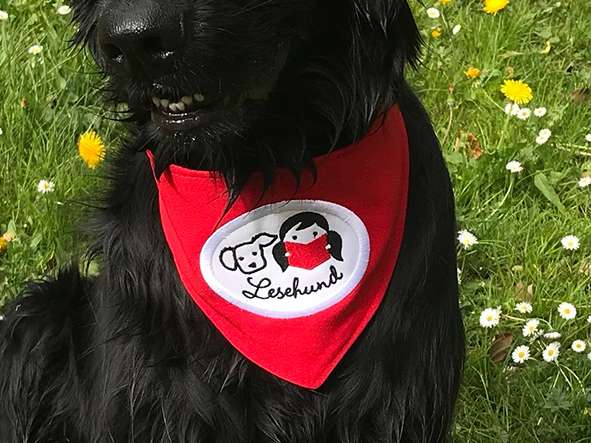 Ansicht 4 von WauMiau Tierarztpraxis für Verhaltenstherapie und Hundeschule - Dr. med. vet. Stefanie Sprauer