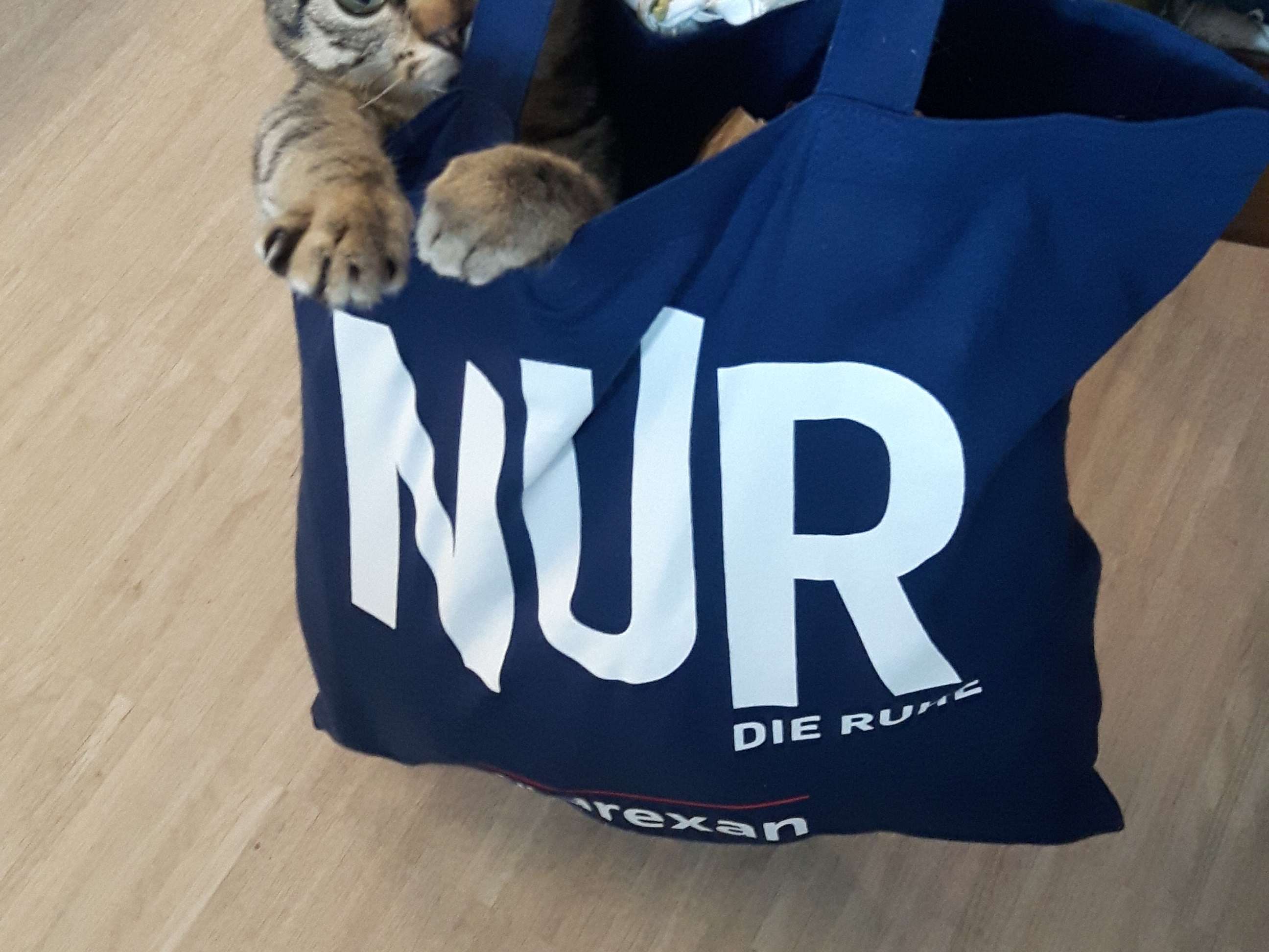 Ansicht 1 von Dr. Zimmer-Püsch