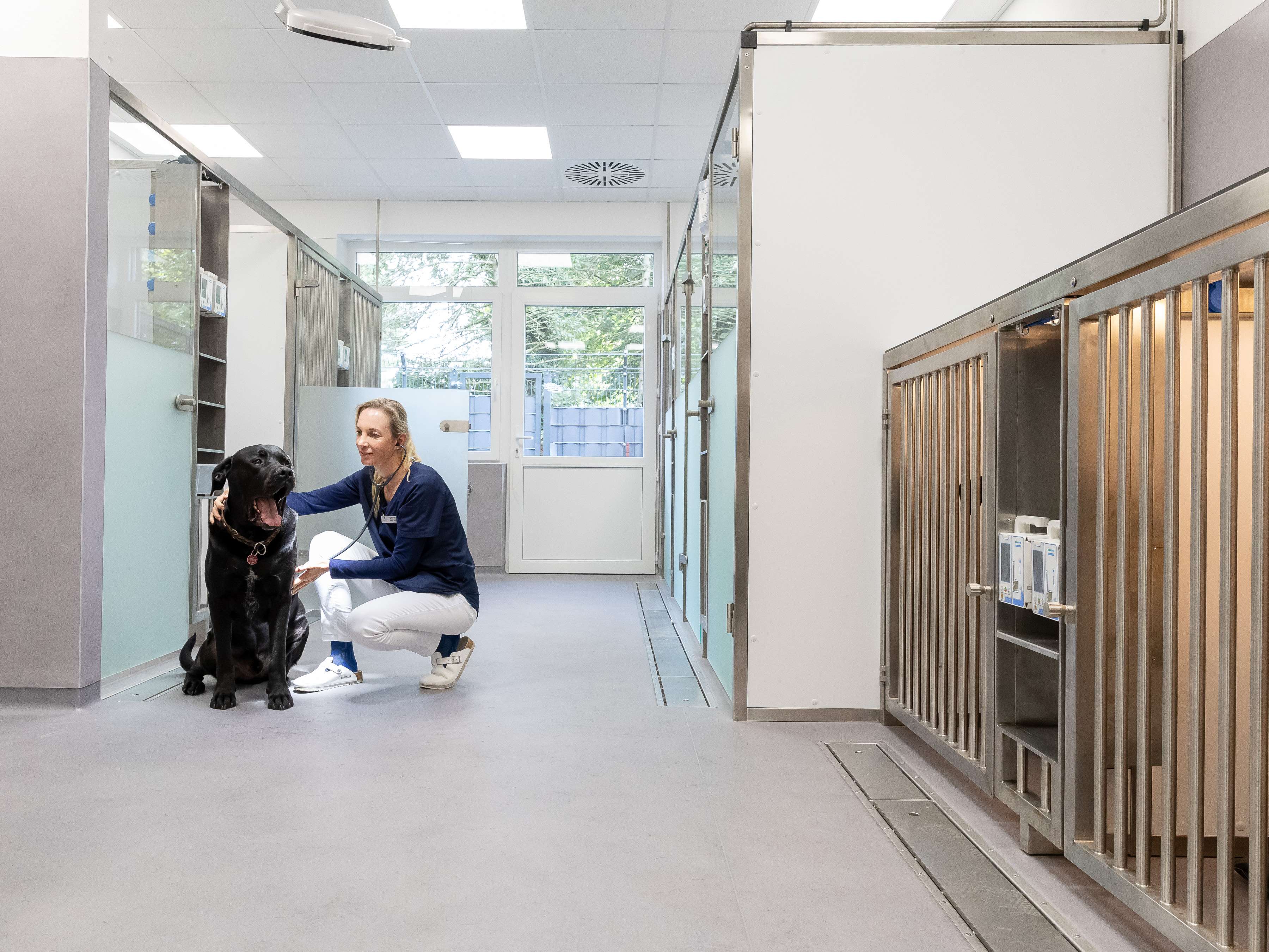 Ansicht 4 von Kleintierklinik Wasbek