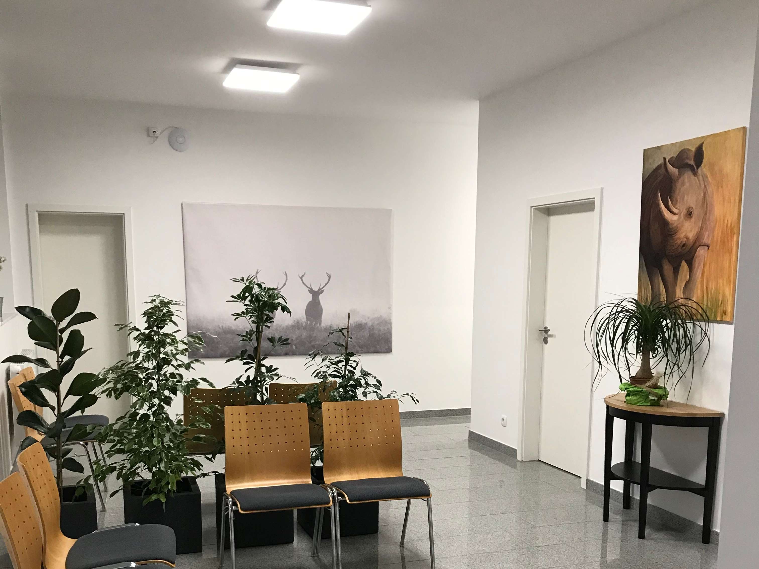 Ansicht 4 von Kleintierpraxis Luthe