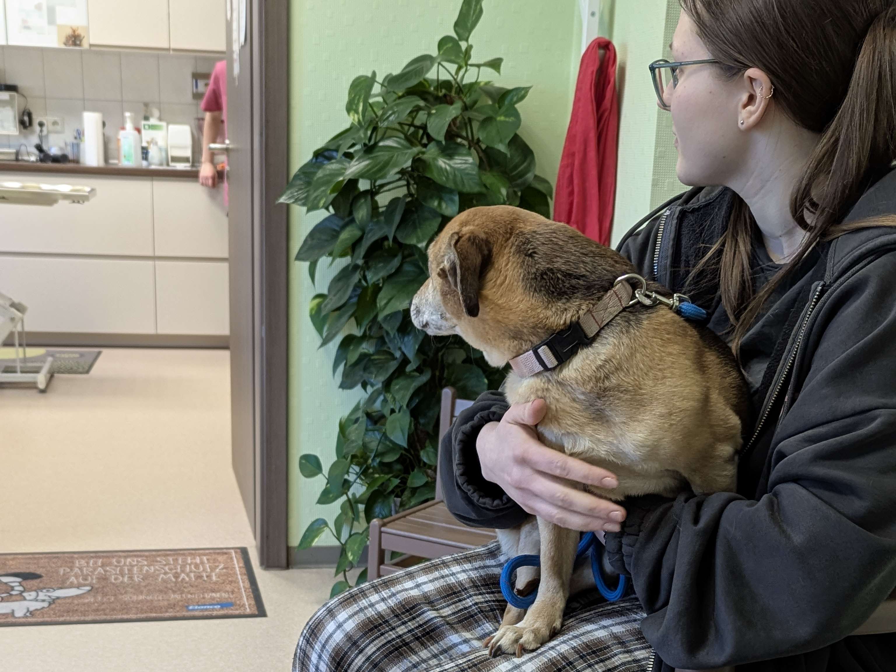 Ansicht 1 von Tierärztin Christin Oehlschläger & Tierarzt Dr.med.vet. Lutz Borchardt