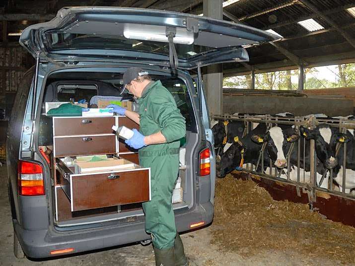 Ansicht 5 von Tierarzt Praxis für Rinder Dr.med.vet Bernd Oelkers