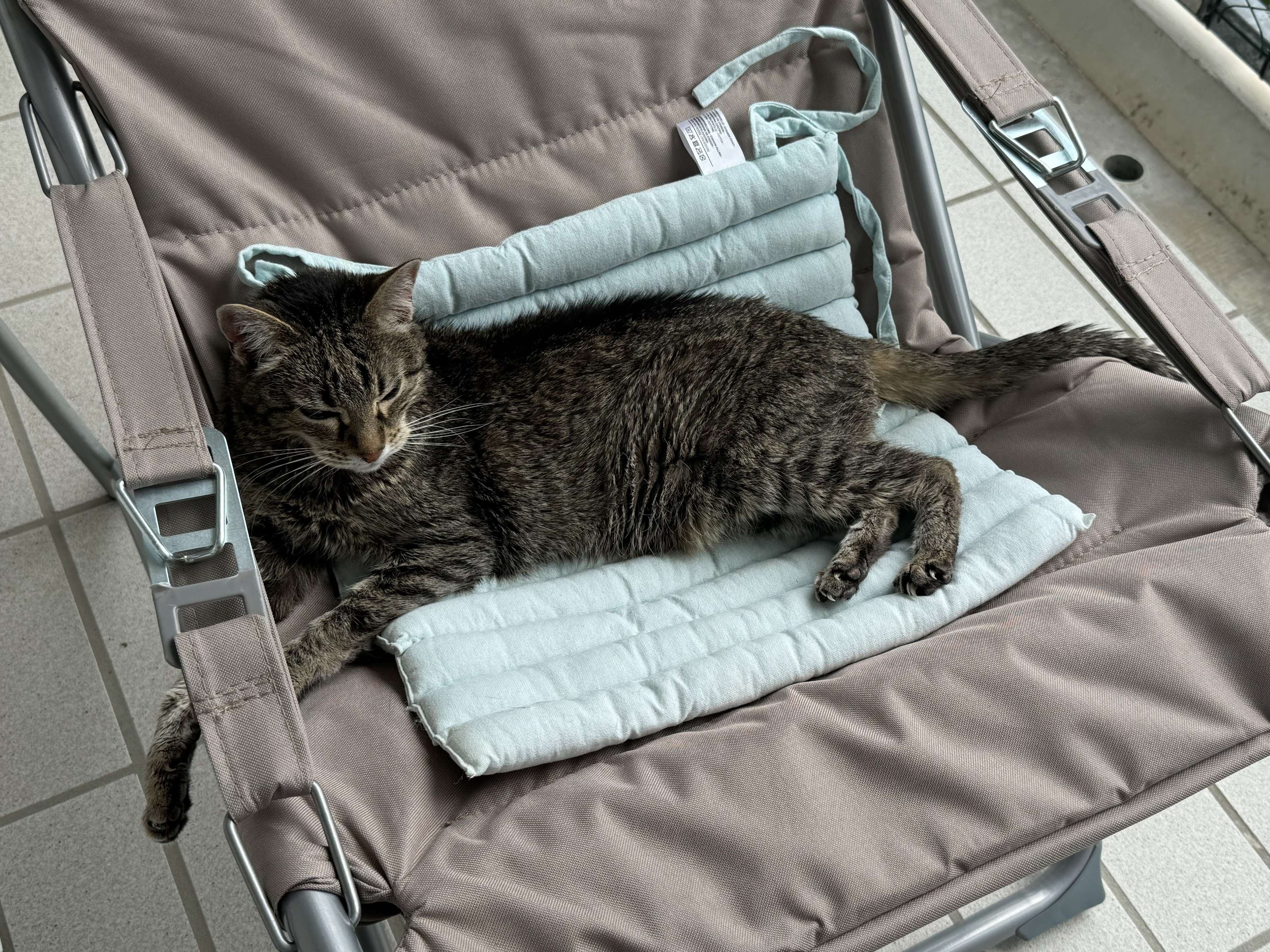Ansicht 3 von Praxis 7 Leben, Tierärztliche Katzenpraxis de Leuw