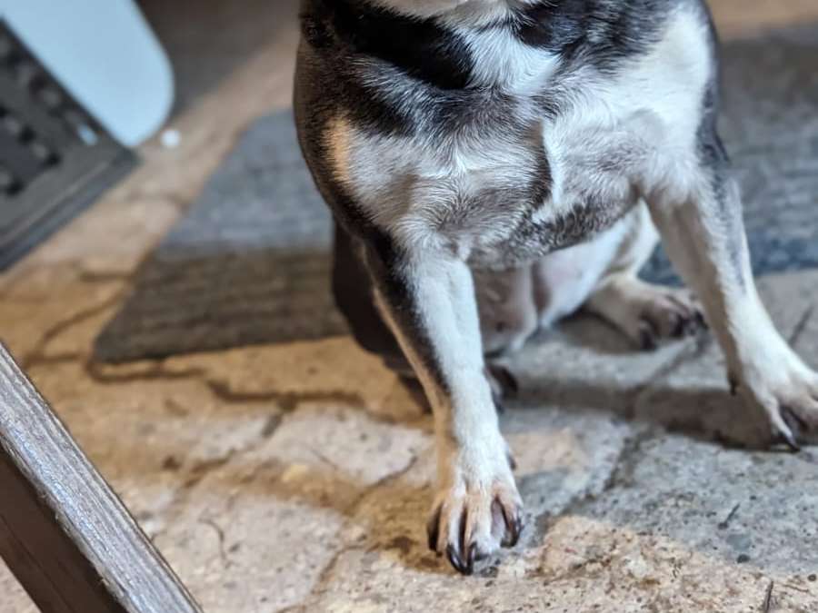 Ansicht 3 von Tierarztpraxis Schwenke