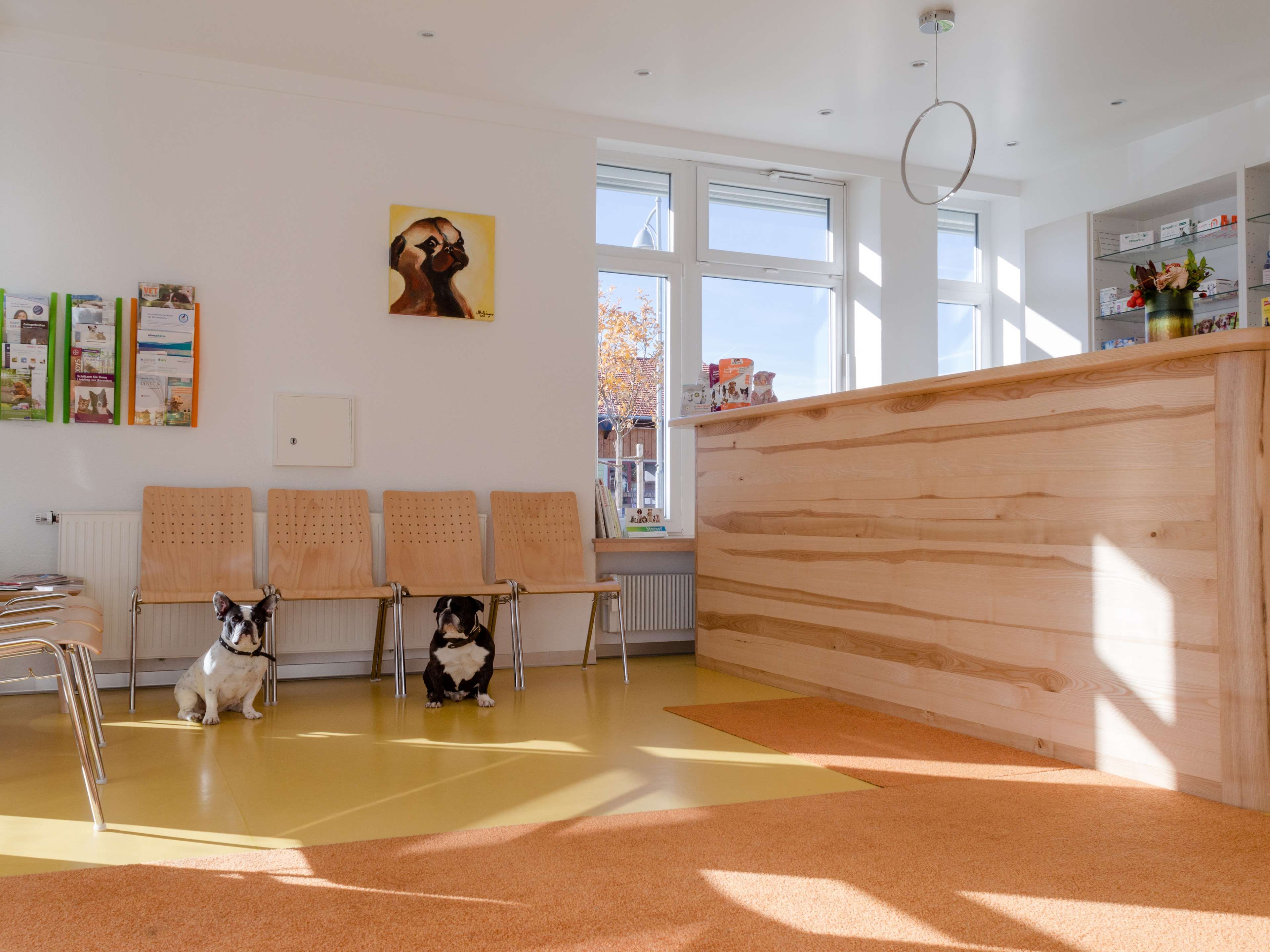 Ansicht 3 von Tierarztpraxis Hopferau