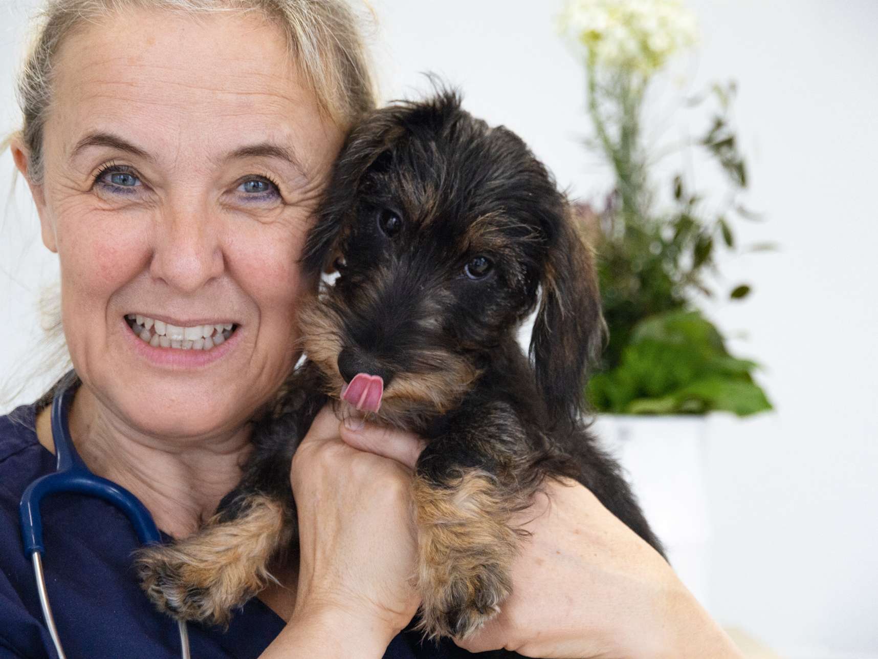 Ansicht 2 von Tierärztin Dr. Monika Weiß