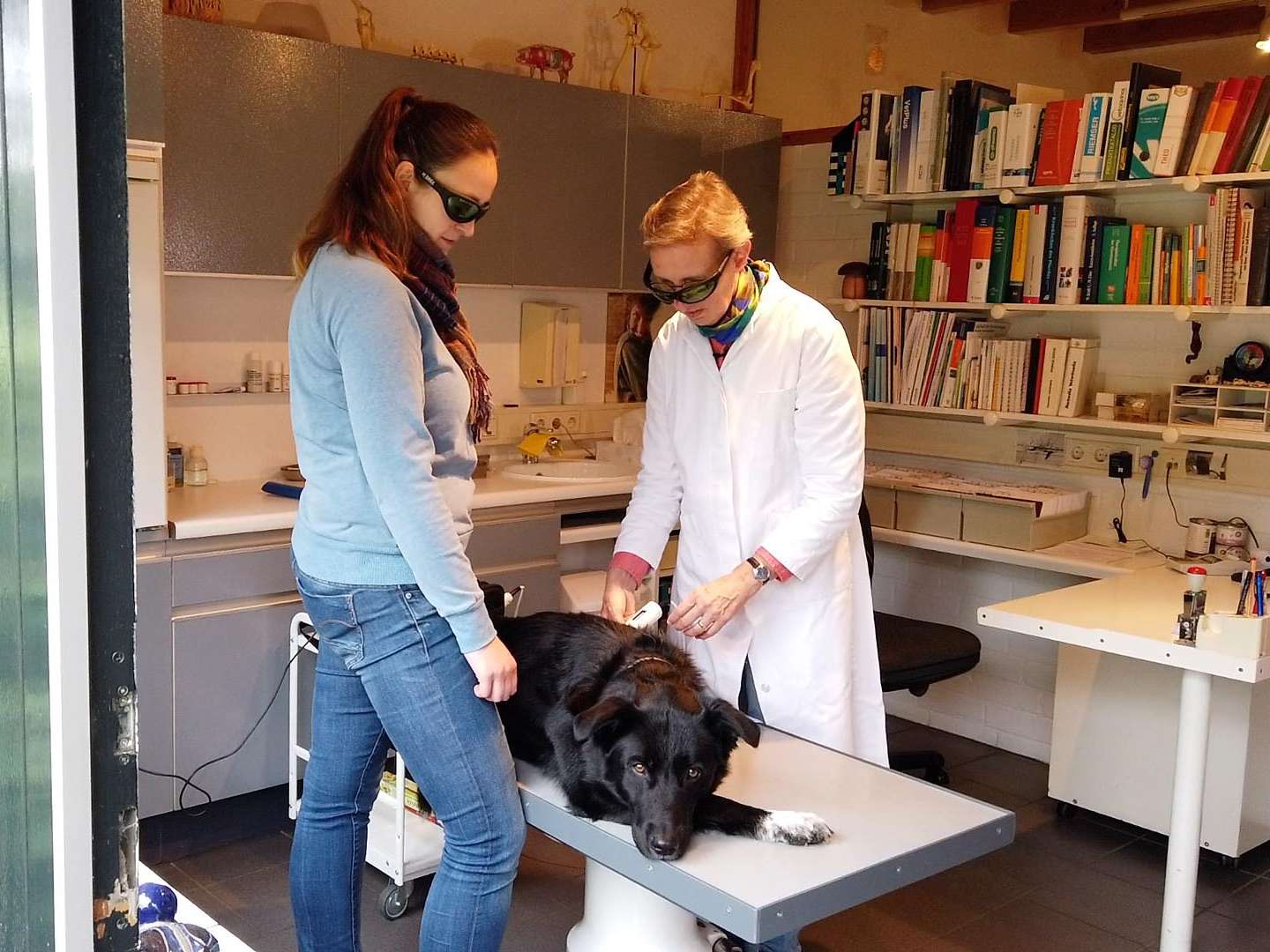 Ansicht 2 von Dr. Christine Menges Tierärztin