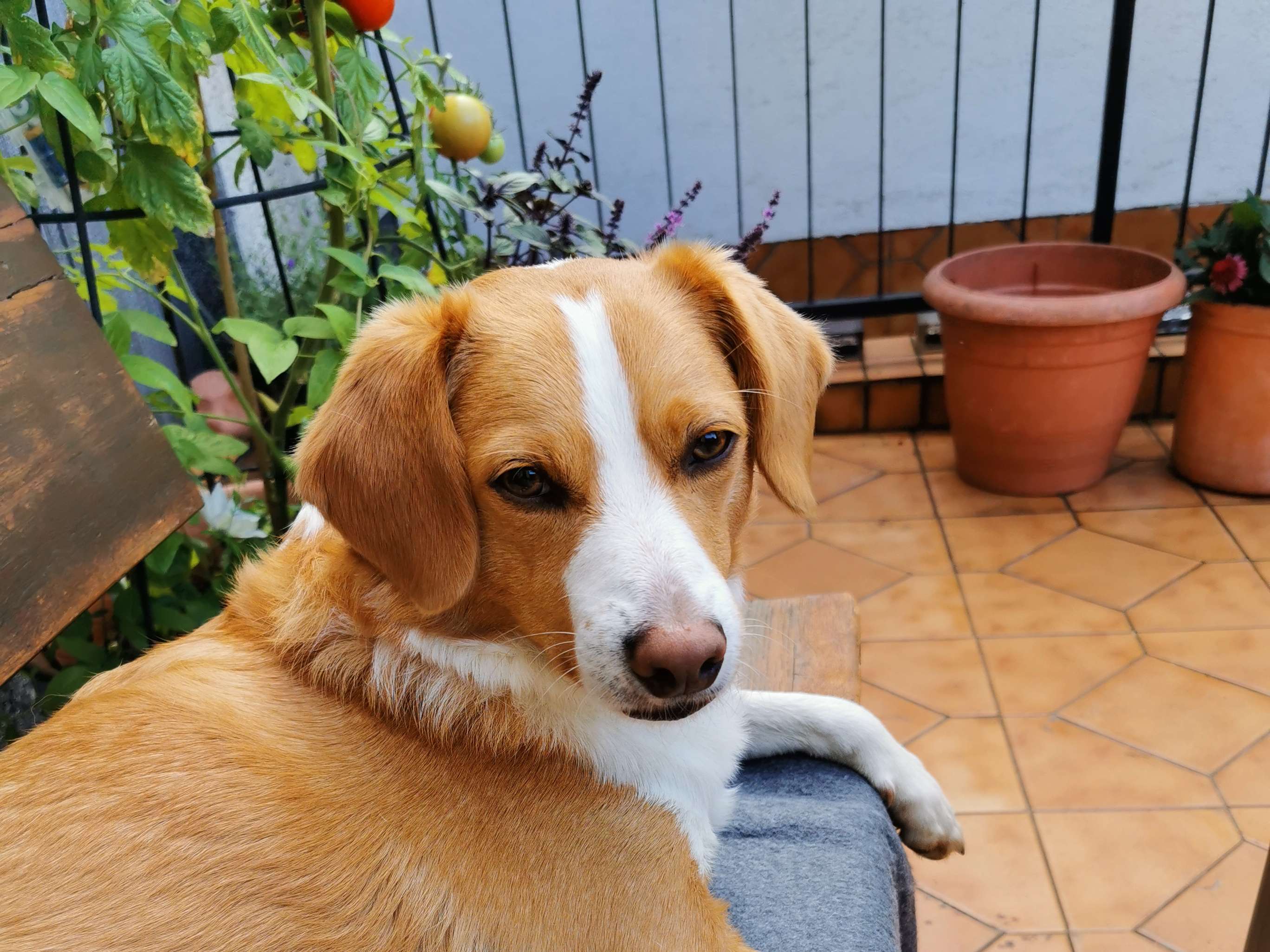 Ansicht 1 von Tierarzt - Tierarztpraxis am Zanderhof