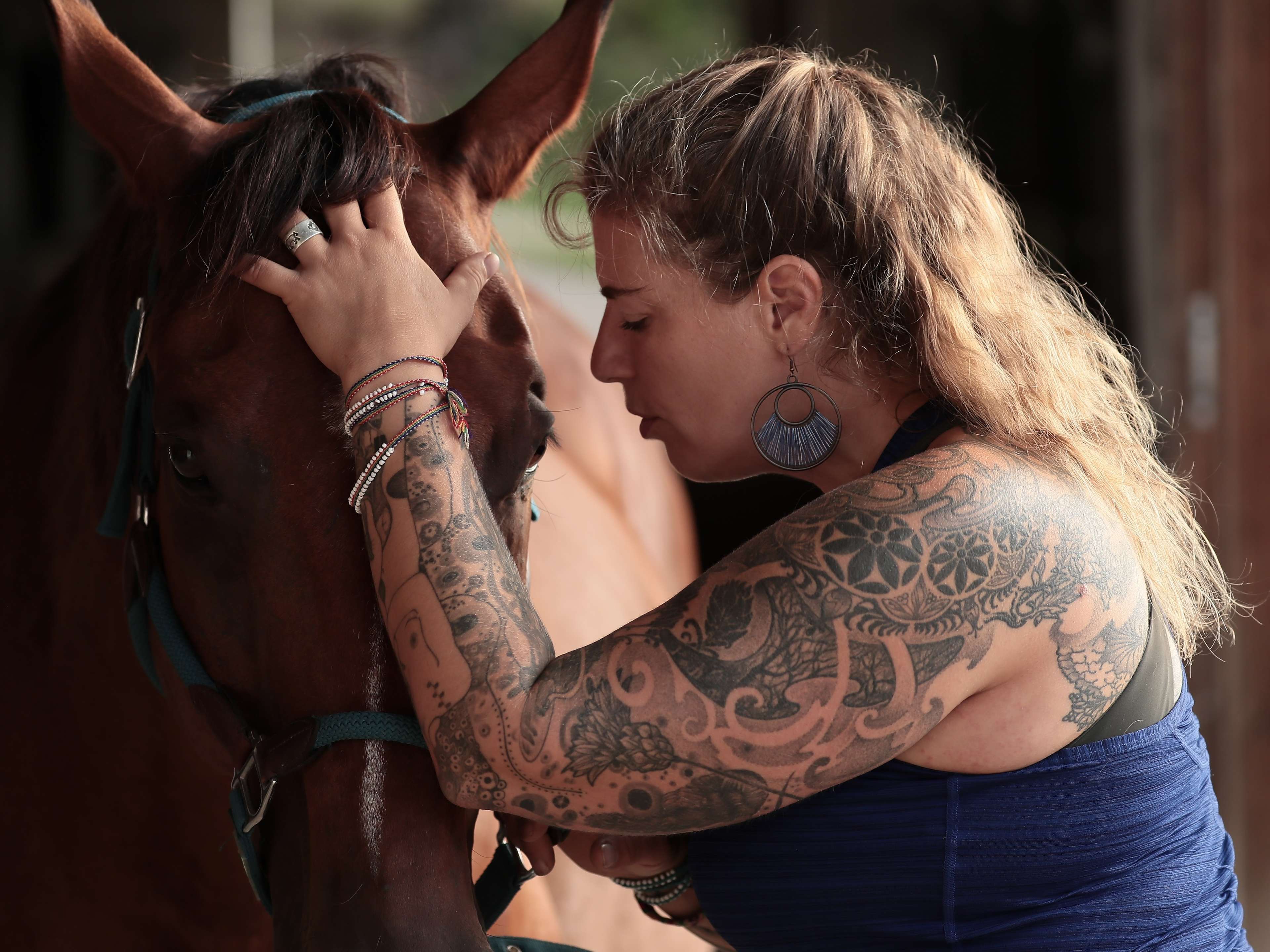 Ansicht 1 von Tierärztin Dorothea Weber Pferdemedizin und Osteopathie