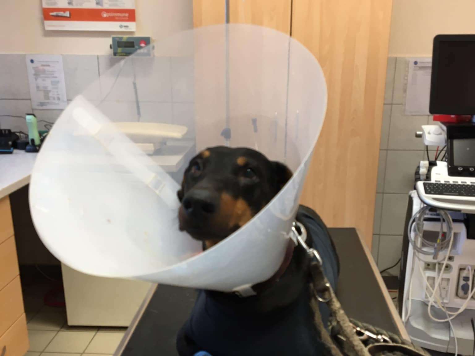 Ansicht 4 von Tierärztliche Klinik für Pferde und Kleintierpraxis