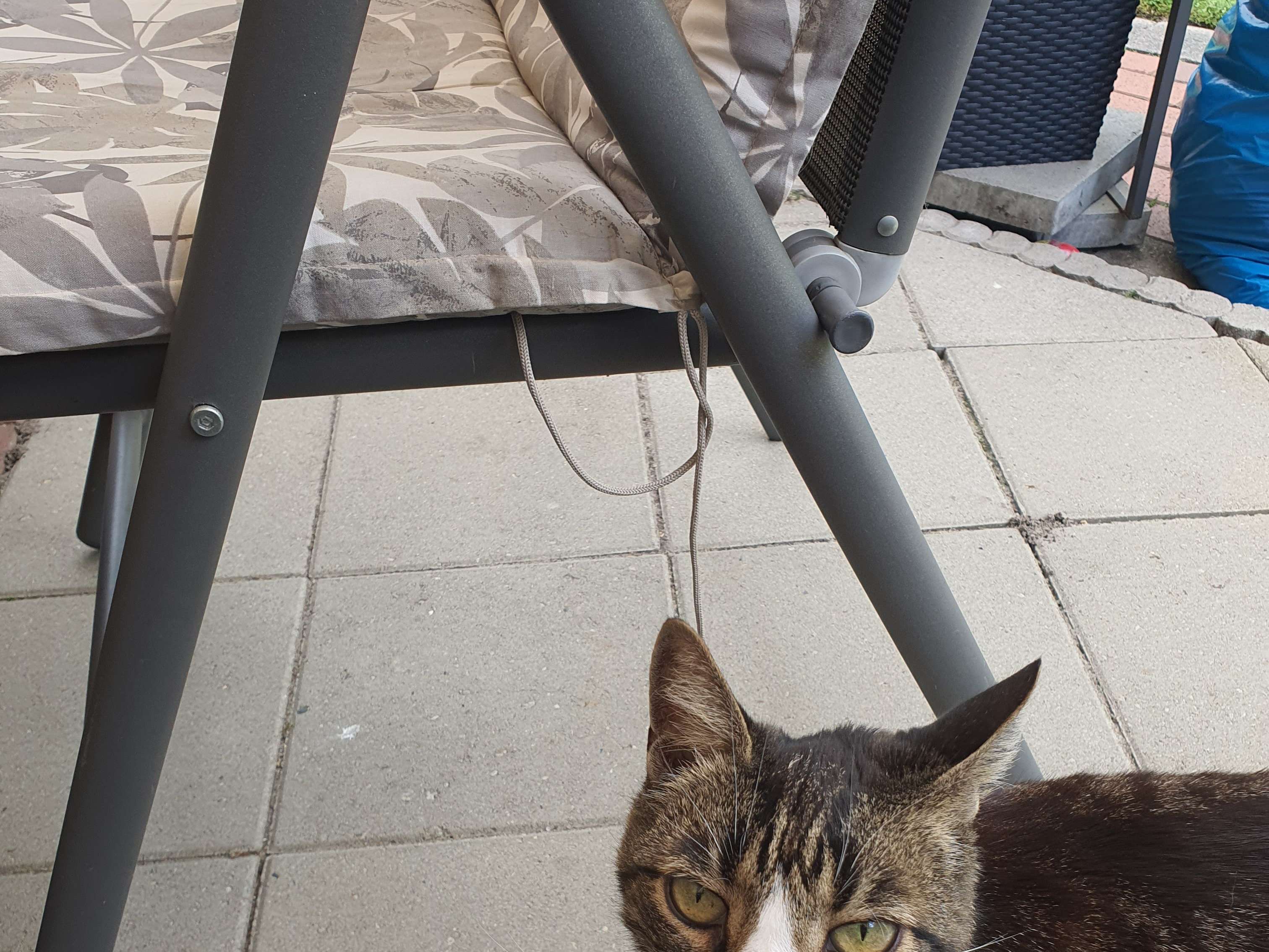 Ansicht 3 von Medivet Tierarztpraxis Pinneberg