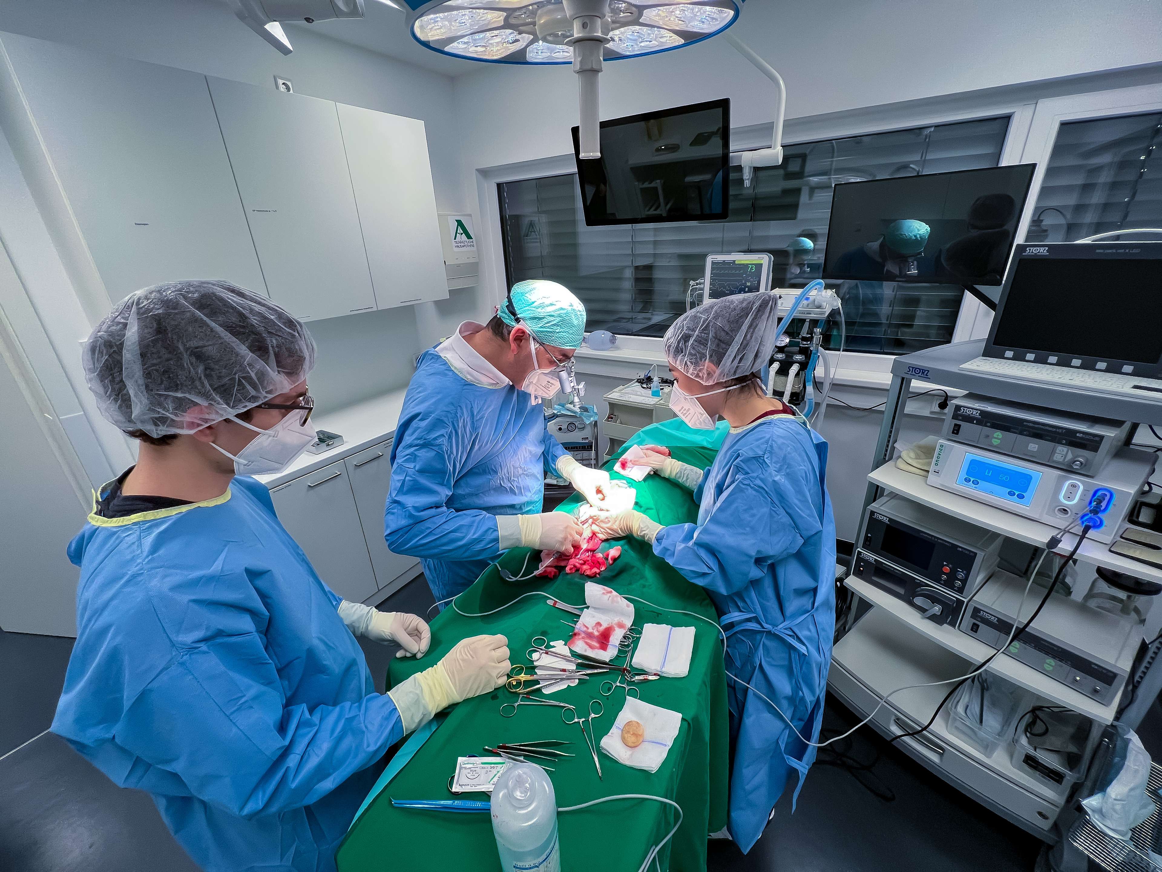 Ansicht 2 von Tierärztliches Gesundheitszentrum Töging GmbH