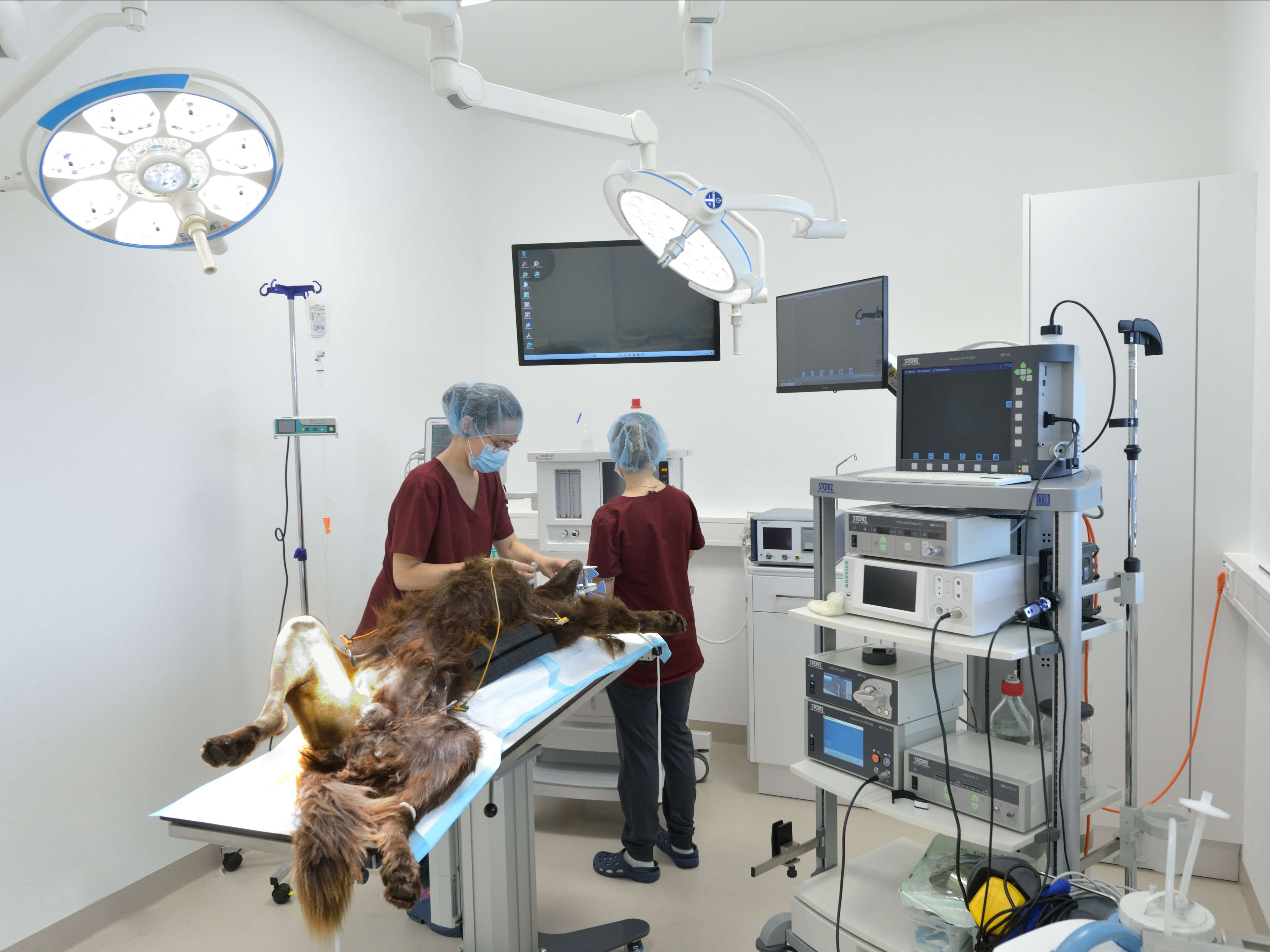 Ansicht 3 von Tierärztliches Gesundheitszentrum Töging GmbH