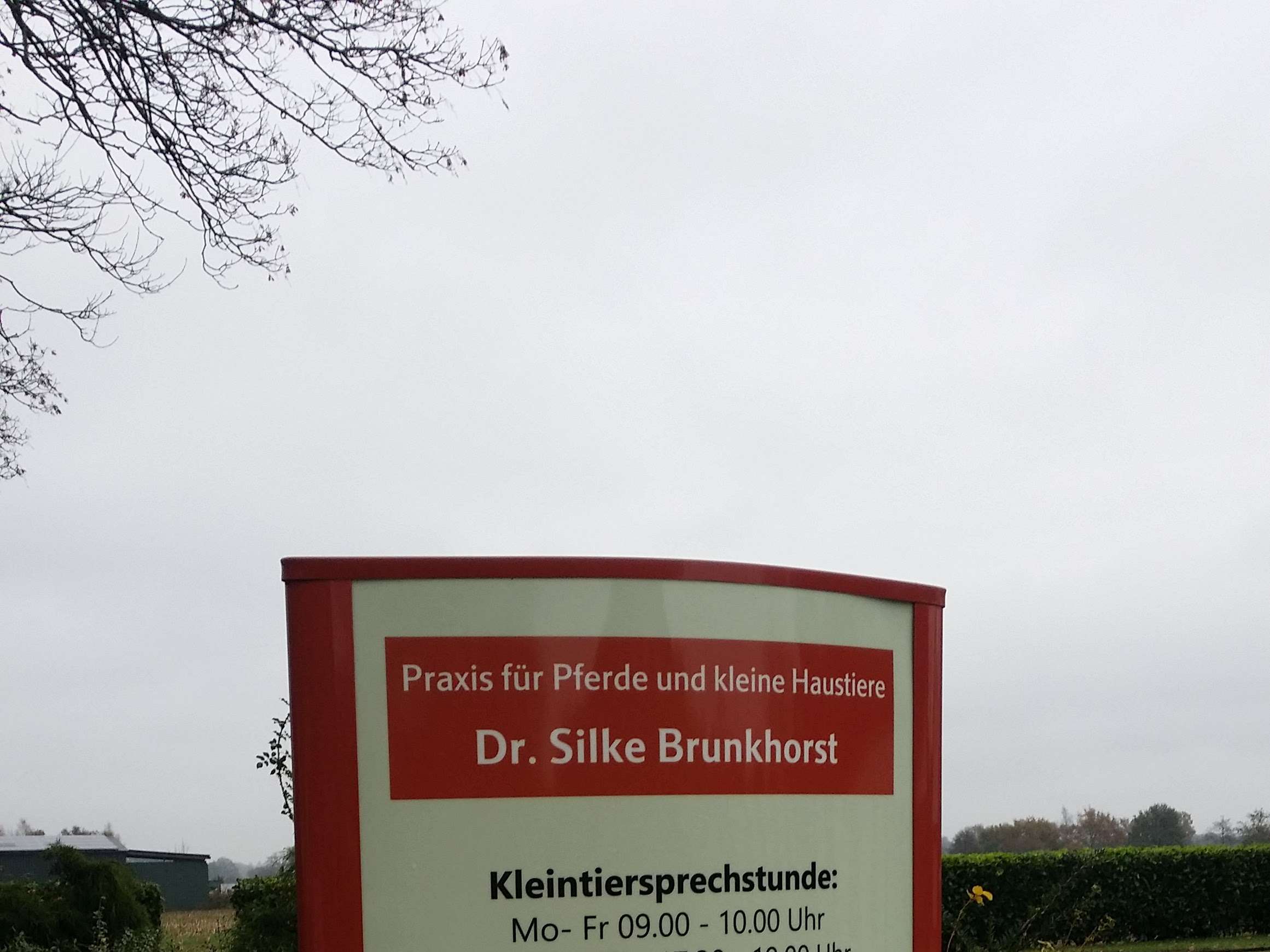 Ansicht 2 von Dr. Silke Brunkhorst