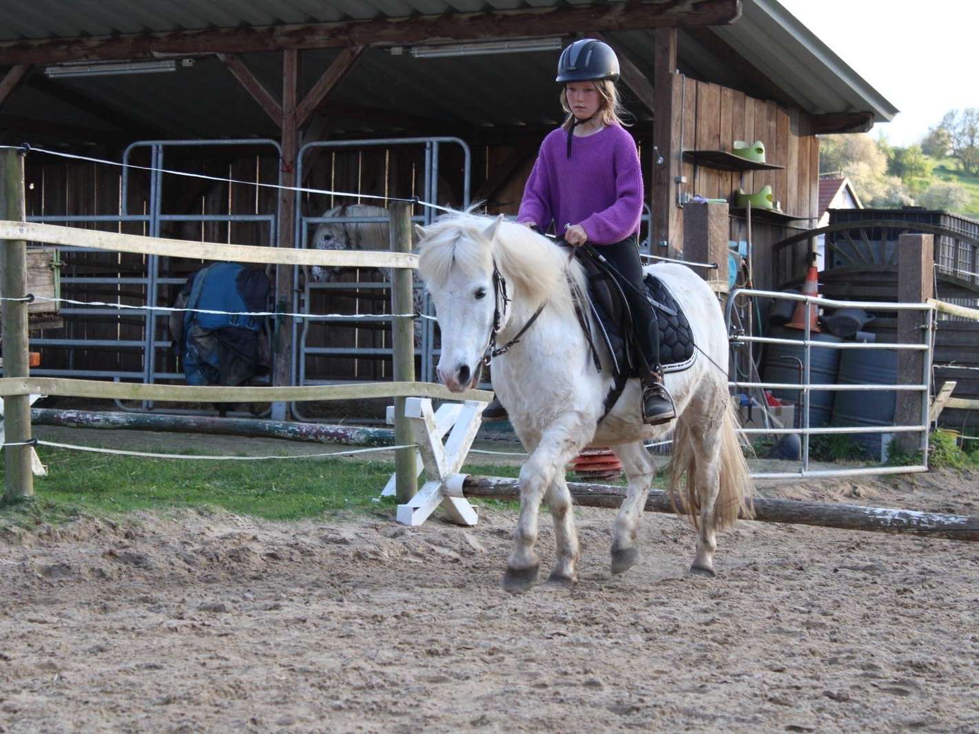 Ansicht 2 von Ponyhof Karger