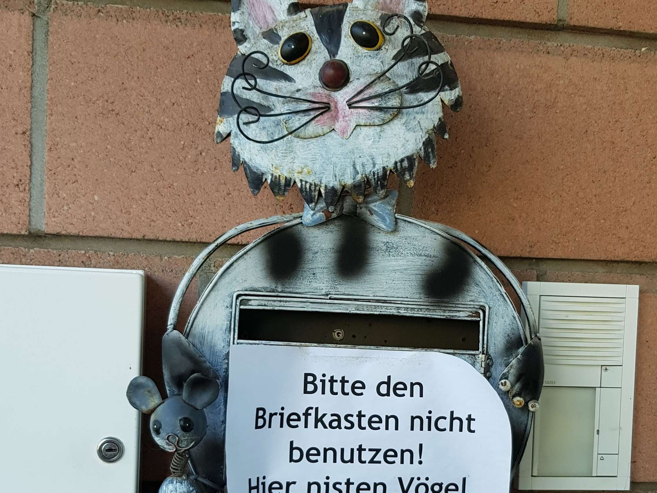 Ansicht 4 von Tierarztpraxis Klötzer GmbH