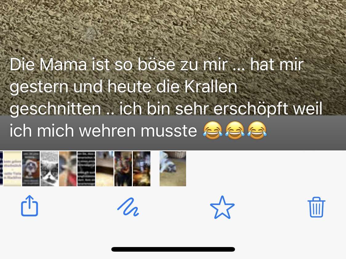 Ansicht 1 von Silke Herzberger Tierärztin