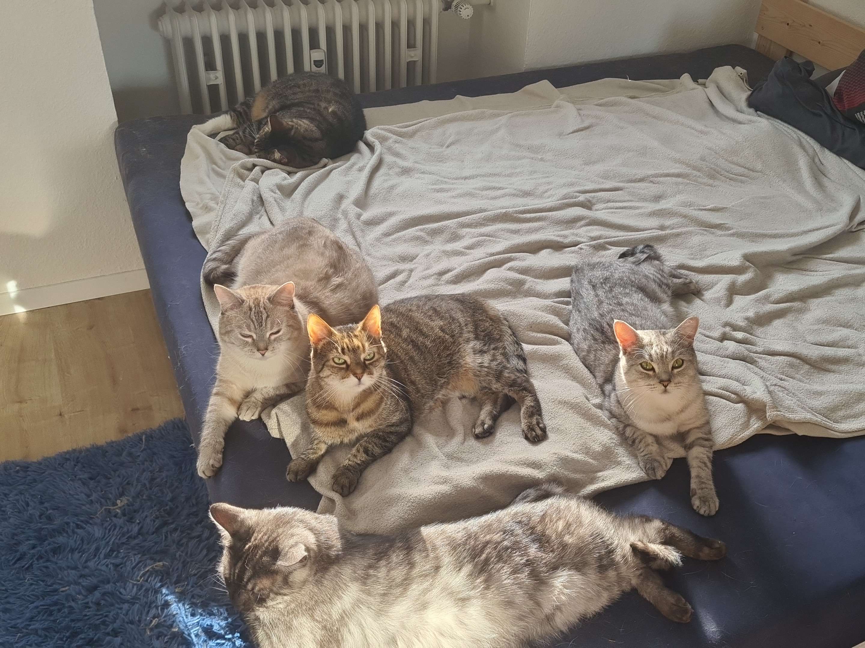 Ansicht 4 von Tierärztliche Praxis Marcus Sand