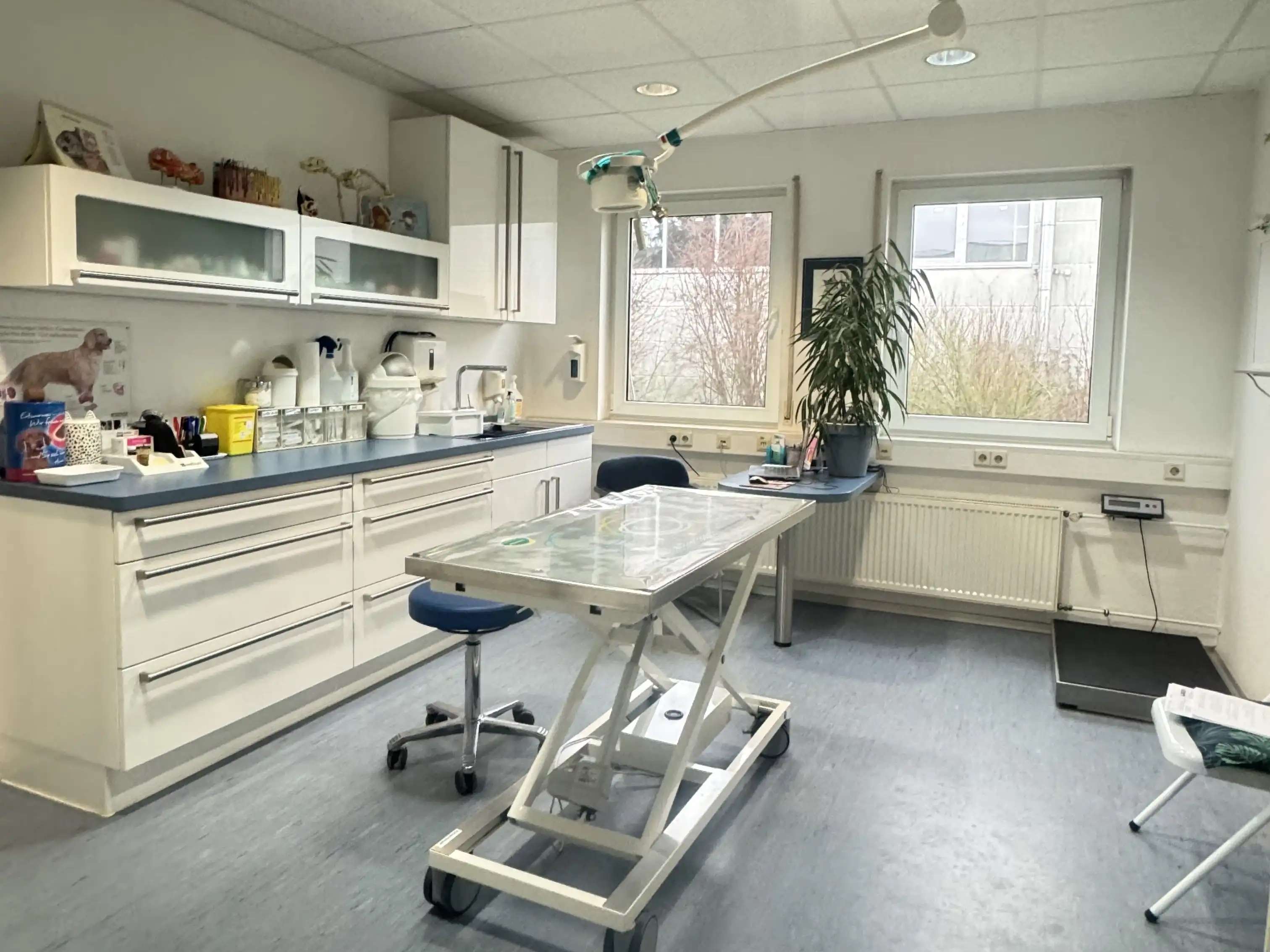 Ansicht 1 von Keidel Kirsten - Tierärztin