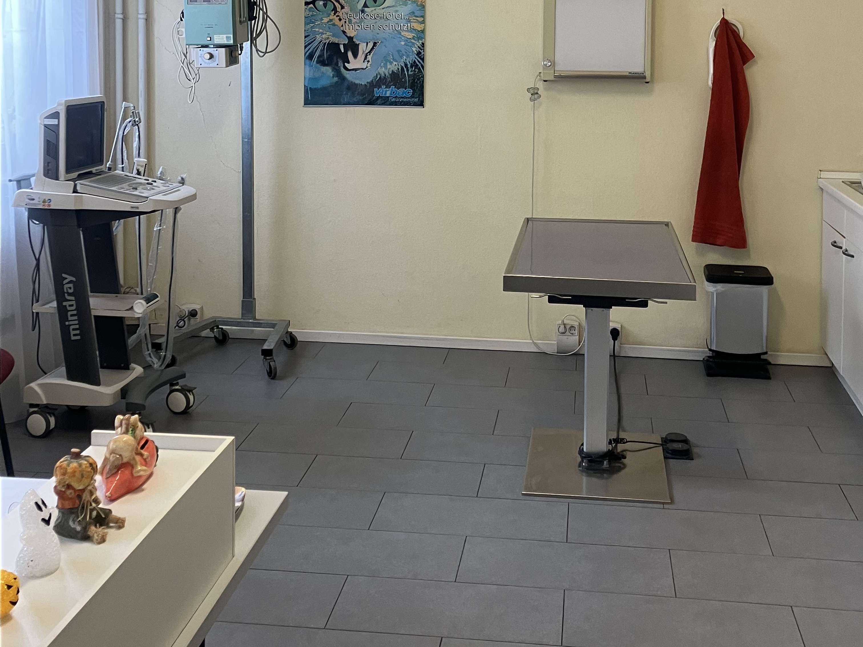 Ansicht 3 von Dr. Gabriele Hackl