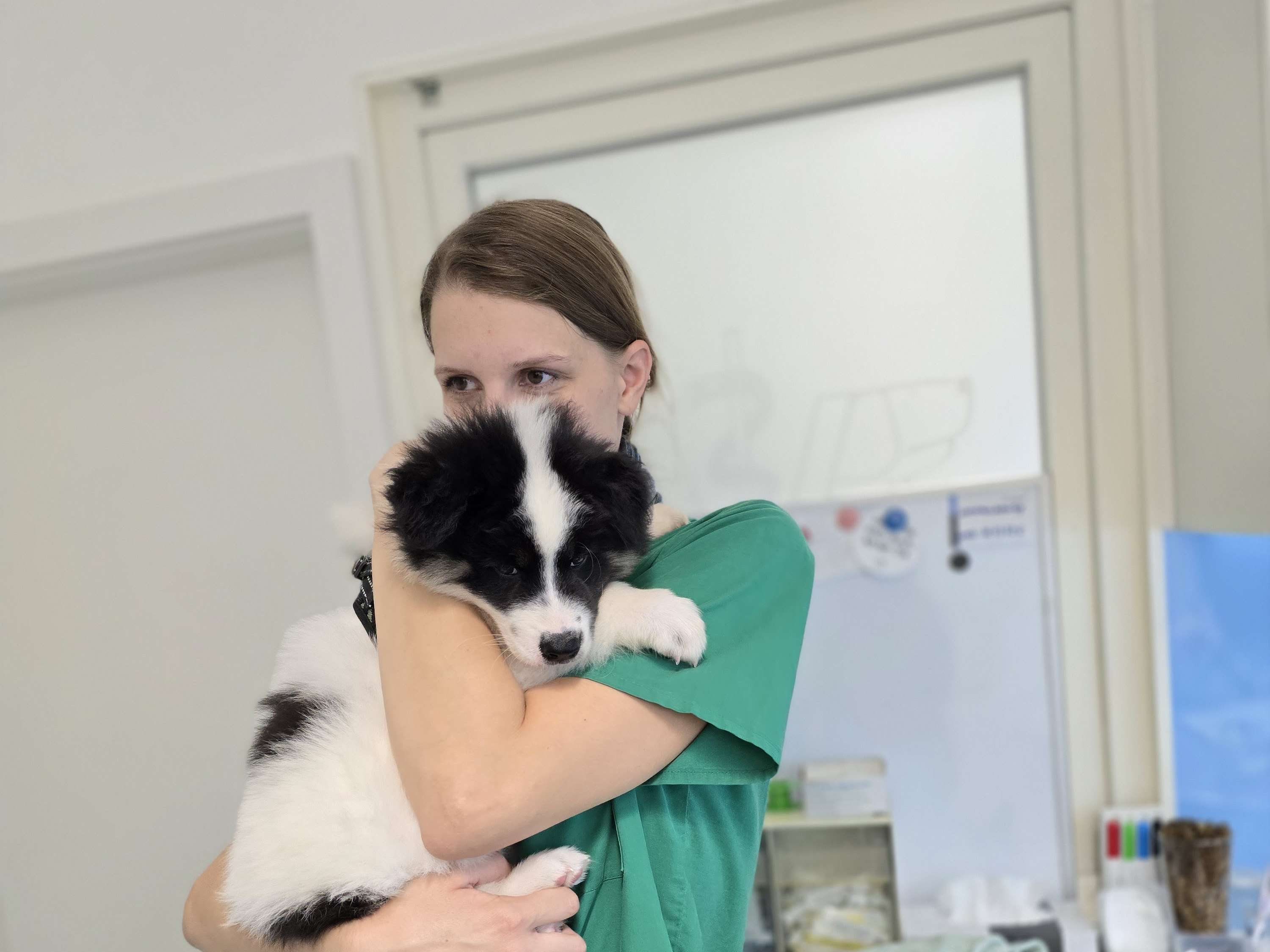 Ansicht 3 von Dr.med.vet. Kesten