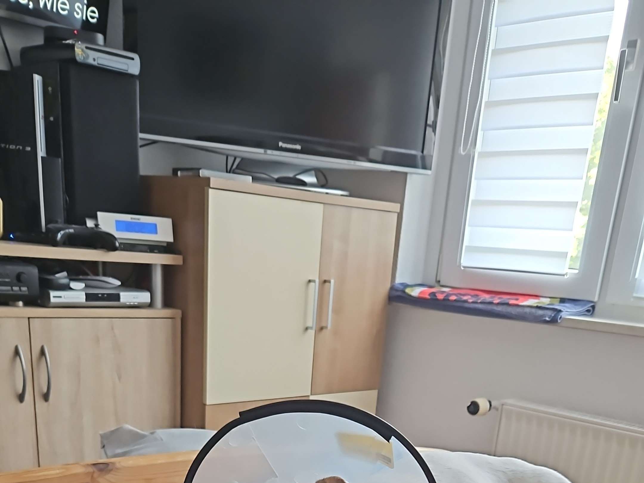 Ansicht 3 von Großmann Jörn Dr. Tierarztpraxis