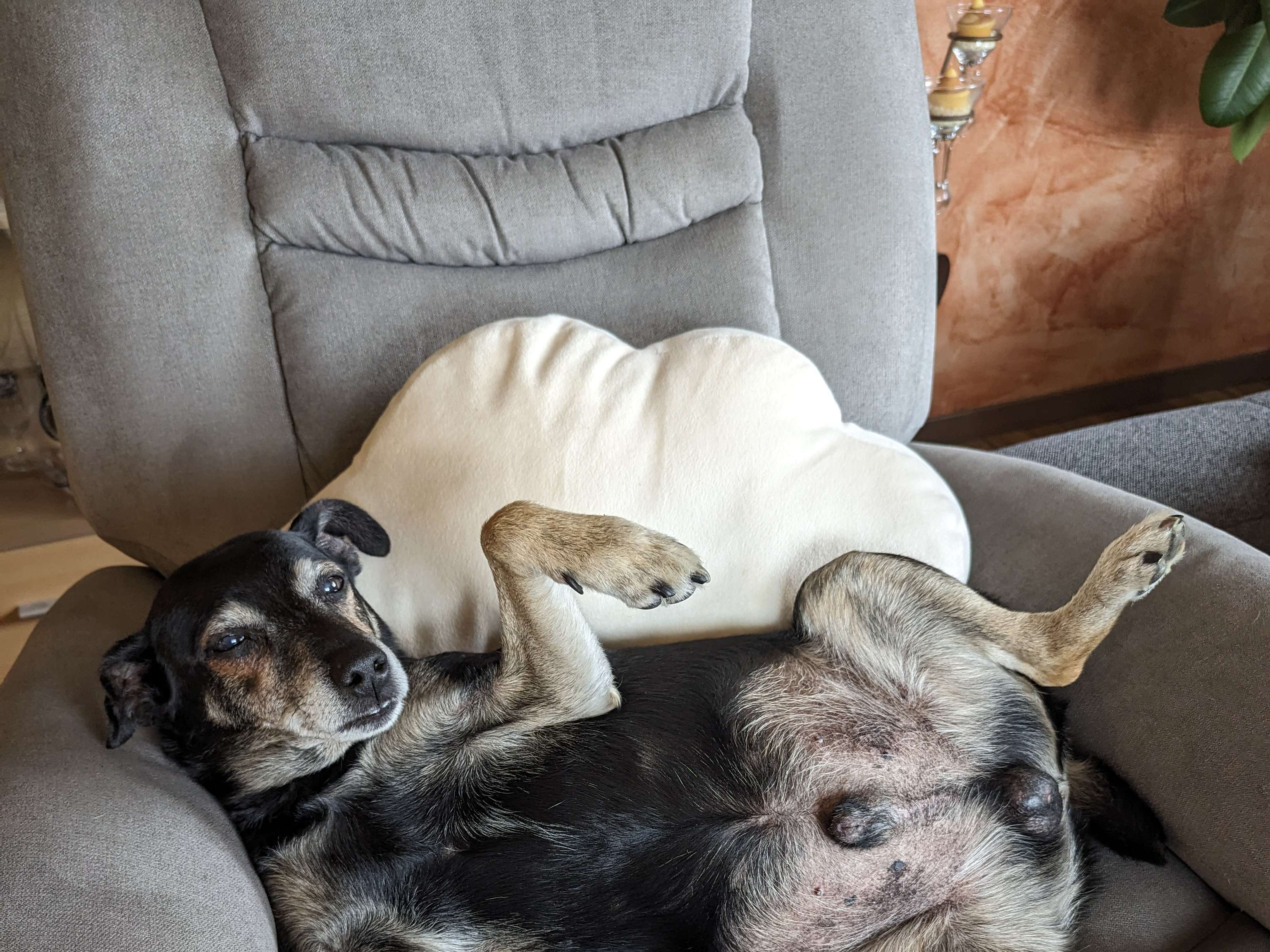Ansicht 2 von Tierarztpraxis Susann Zimmer
