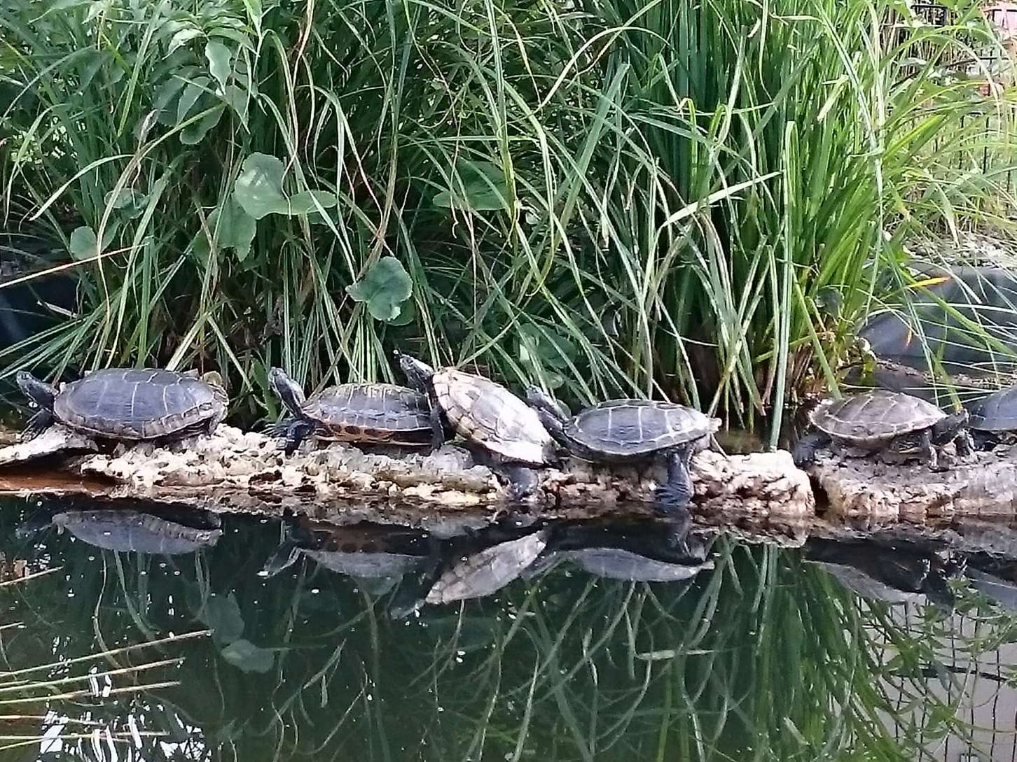 Ansicht 3 von Tierarztpraxis-Einum für Kleintiere & Reptilien, Dr.med.vet. Alexandra Pauck